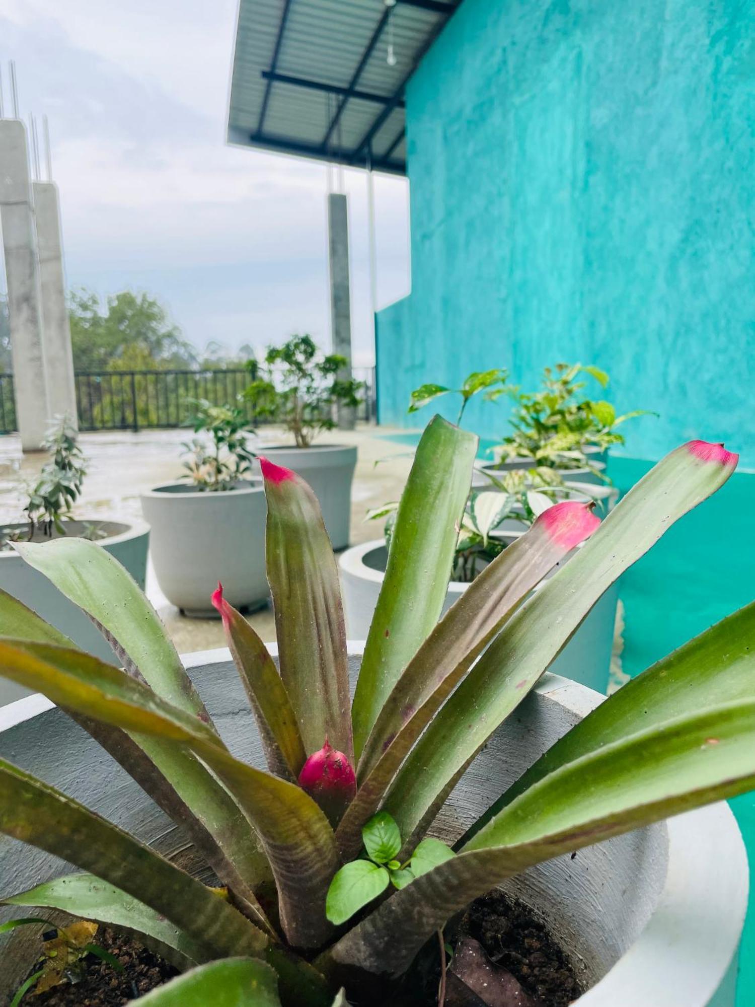 Little Paradise Homestay Элла Экстерьер фото
